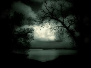 The Darkness In The World