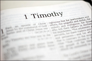 About Bible Authority